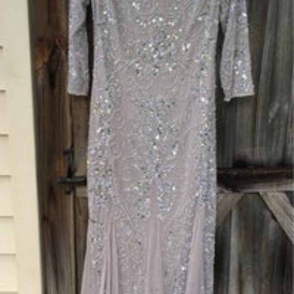 Pizarro Nights Size 6 Silver Mother of Bride Gown - Picture 3 of 6